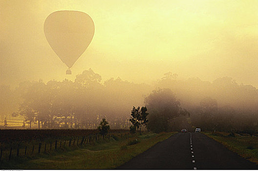 热气球,上方,葡萄园,日落,猎人谷,新南威尔士,澳大利亚