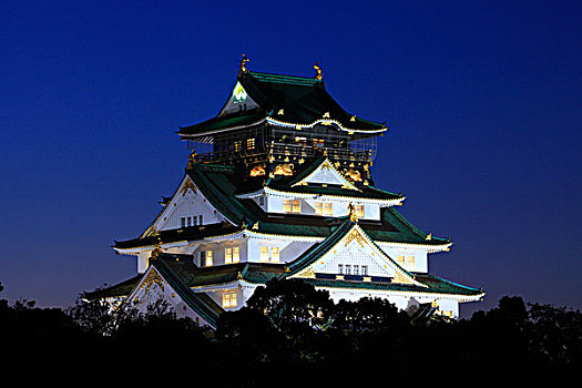 大阪城,塔,灯光,向上