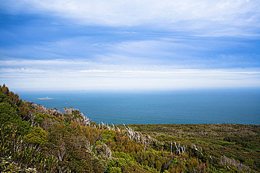 悬崖,南,城镇,新西兰,斯图尔特岛,罐,风景,远景
