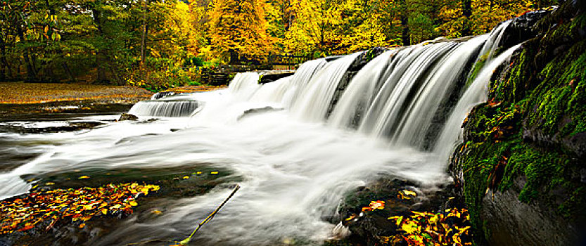 瀑布,河,秋天,山谷,坏,图林根州,德国,欧洲