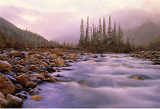 晚秋,水,急促,上方,石头,不列颠哥伦比亚省,加拿大