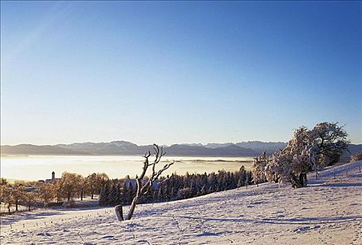 冬天,雪,冰,冬季风景,早晨,晨光,巴伐利亚,德国,欧洲