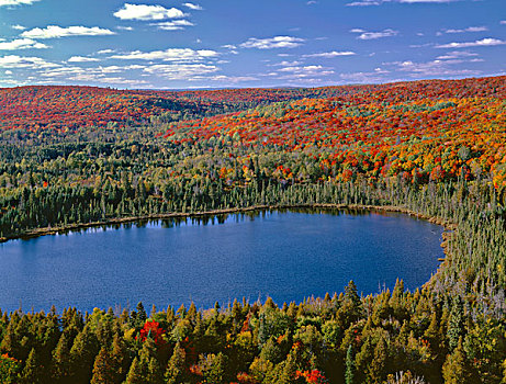 美国,明尼苏达,国家森林,秋天,彩色,北方,硬木,树林,湖,大幅,尺寸