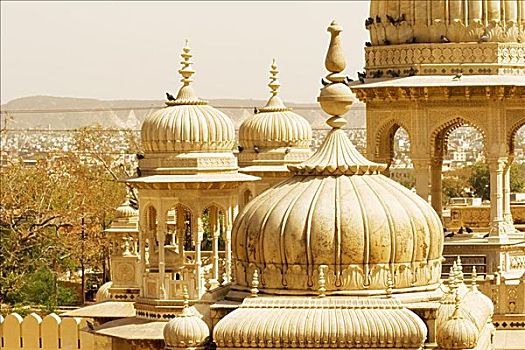 俯拍,圆顶,宫殿,斋浦尔,拉贾斯坦邦,印度