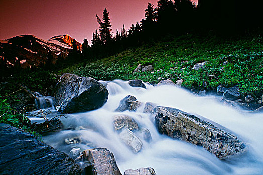 小溪,山谷,班芙国家公园,艾伯塔省,加拿大