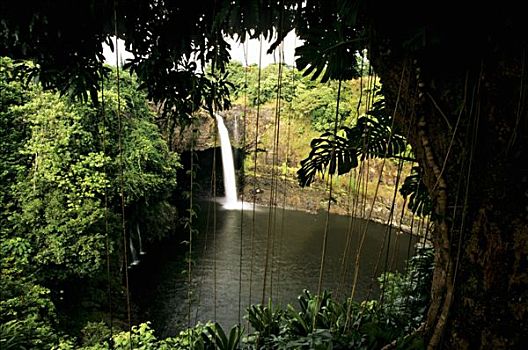 美国,夏威夷大岛,彩虹瀑布,河,州立公园