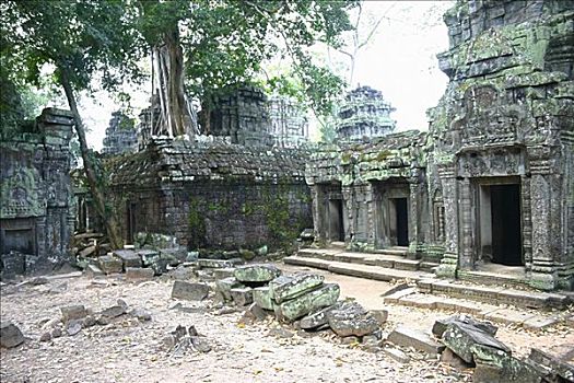 古遗址,庙宇,吴哥窟,收获,柬埔寨