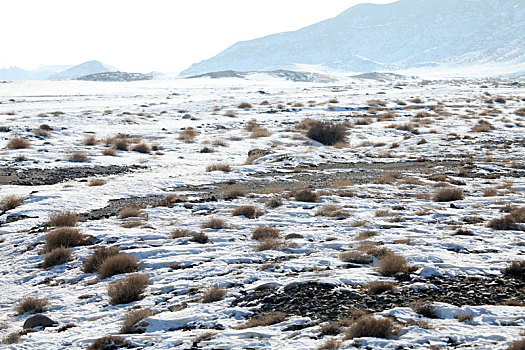 新疆哈密,冬季荒原雪景之美