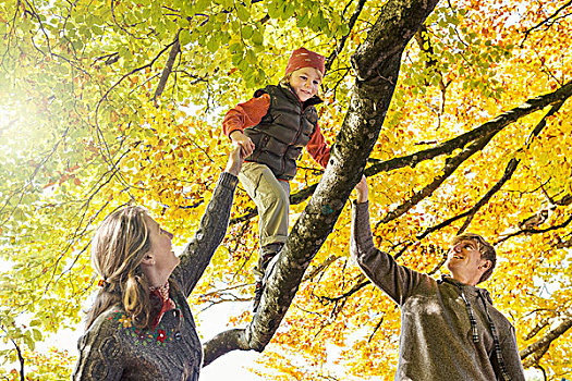 仰视,父母,帮助,男孩,走,树上,枝条,秋天
