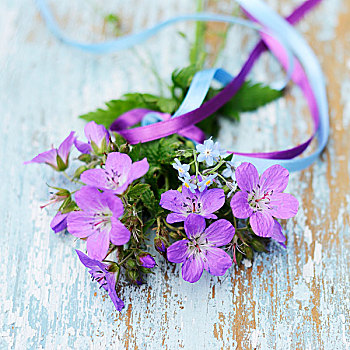 紫花,老鹳草属,勿忘我,系,带,旧式,木板