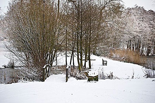 雪,冬景