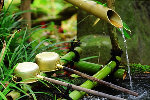 竹子,喷水池,长柄勺,日本寺庙