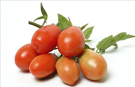 意大利,西红柿