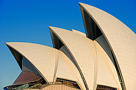 悉尼,悉尼歌剧院,特写,新南威尔士,澳大利亚,大洋洲