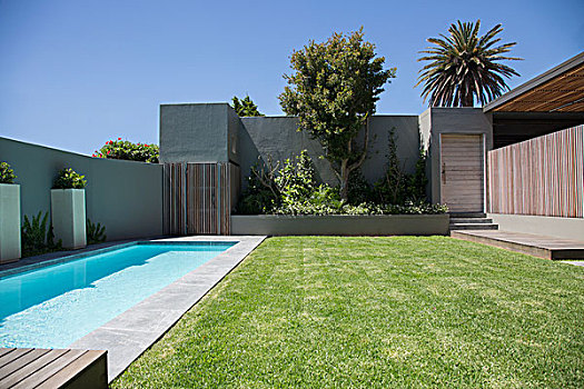 现代,浅水泳池,后院
