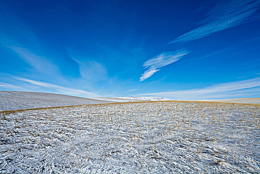 冰川草原