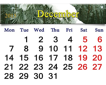 日程,十二月,常绿植物,云杉