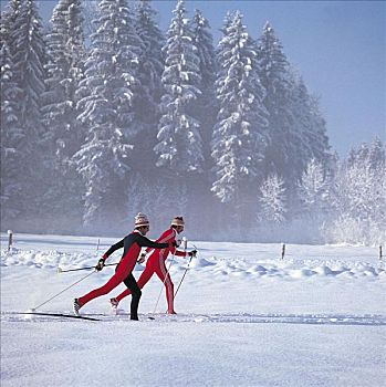 男人,滑雪者,越野滑雪,冬季运动,雪,欧洲,假日