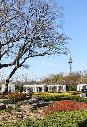 青岛中山公园全景图图片