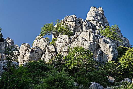怪诞,石灰石,岩石构造,自然保护区,安提奎尔,省,马拉加,安达卢西亚,西班牙,欧洲