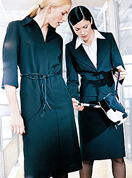 两个,职业女性,穿,细条纹西装,裙子,黑裙,看,手包