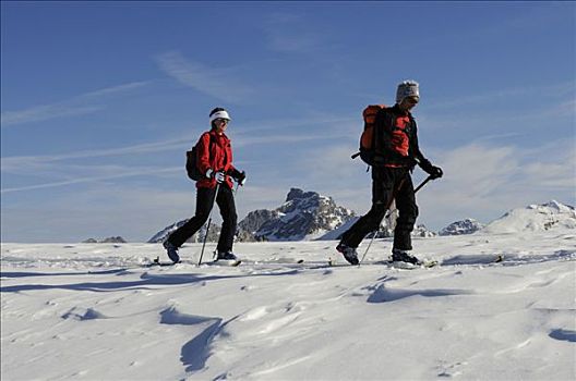 滑雪,登山者,西部,阿尔卑斯山,伯恩高地,瑞士,欧洲