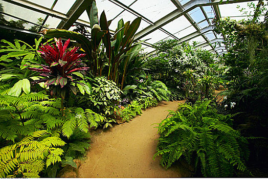 温室,洛杉矶国家植物园,植物园,阿卡迪亚,加利福尼亚,美国