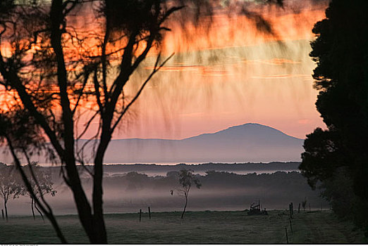 乡村风光,威尔逊-普勒蒙特利国家公园,维多利亚,澳大利亚