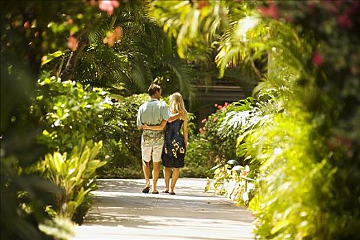 夏威夷,毛伊岛,麦肯那,伴侣,浪漫,一瞬,热带环境
