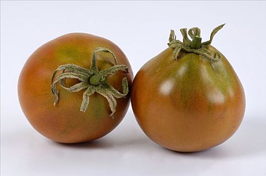 西红柿,品种