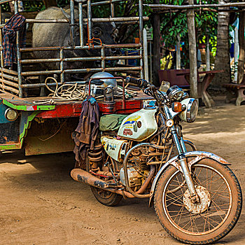 手推车,牛,专注,摩托车,收获,省,柬埔寨