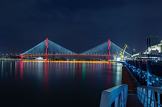 新华滨江杨浦大桥夜景