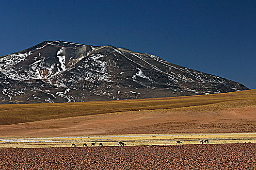 智利,高原,山