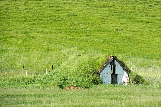 草皮,房子
