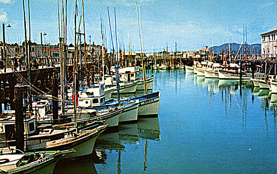 打渔船队,渔人码头,旧金山,加利福尼亚,美国