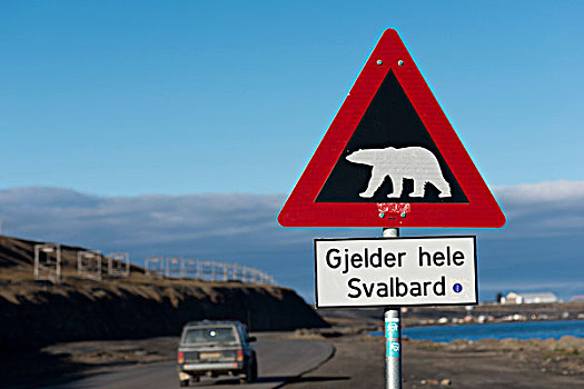 北极熊,警告标识,朗伊尔城,斯匹次卑尔根岛,斯瓦尔巴群岛,斯瓦尔巴特群岛,挪威,欧洲