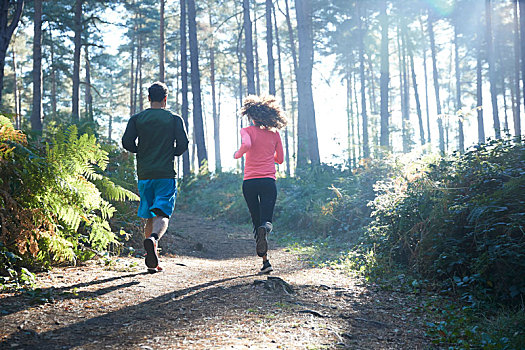 女性,男性,跑步,跑,日光,树林,后视图