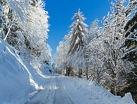 雪,乡村道路,蒙特卡罗,粉色,意大利