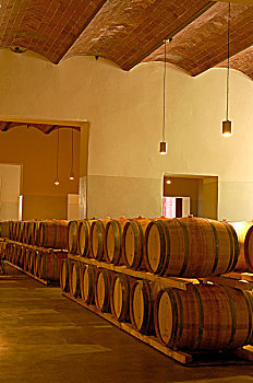 葡萄酒桶,地窖,城堡,葡萄园,锡耶纳省,托斯卡纳,意大利,欧洲