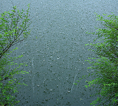 雨点