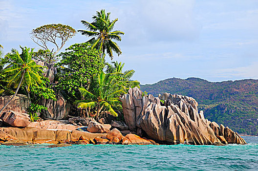 海岸,棕榈树,侵蚀,石头,岛屿,靠近,普拉兰岛,塞舌尔,非洲