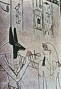 壁画,墓地,神,阿努比斯,局部,埃及新王国