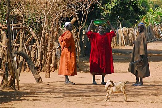 三个男人,部落,交谈,乡村,街道,冈比亚,非洲