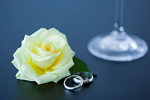结婚戒指与玫瑰