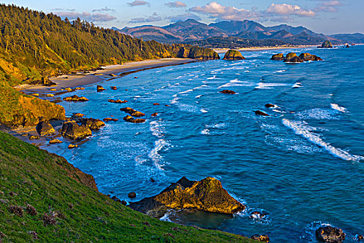 俯拍,海岸线,坎农海滩,俄勒冈海岸,俄勒冈,美国