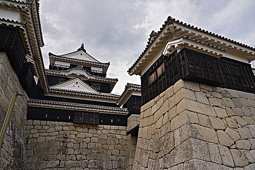 斑点,松山市,城堡,日本