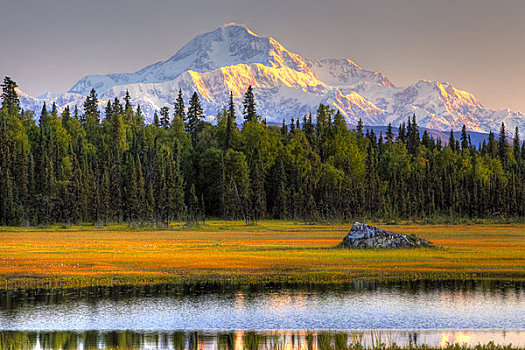 景色,山,麦金利山,日落,风景,南,德纳里峰国家公园,阿拉斯加,夏天,图像