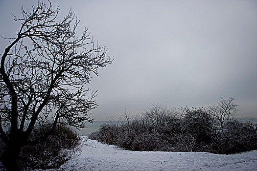 波罗的海,冬天