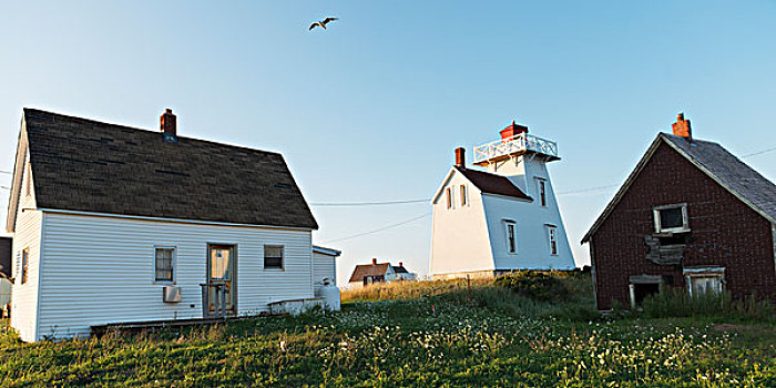 房子,灯塔,大西洋,海岸,北方,爱德华王子岛,加拿大