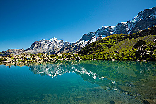 湖,后面,劳特布龙嫩,阿尔卑斯山,伯恩高地,瑞士,欧洲
